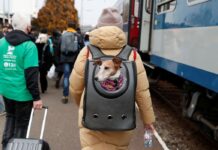 Rússia e Ucrânia vão abrir corredores humanitários para saída de civis