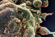 Bahia tem 1.442 casos ativos de Covid-19; estado registrou 9 óbitos nas últimas 24 horas