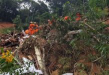 Petrópolis: bombeiros acham mais um corpo e contabilizam sete vítimas