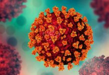 Bahia registra 23 novos casos de Covid-19 e cinco mortes pela doença nas últimas 24h