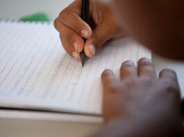 Primeira Infância na Escola tem adesão de 1,8 mil municípios