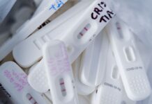 Covid-19: Brasil tem 16,6 mil novos casos e 36 mortes em 24 horas