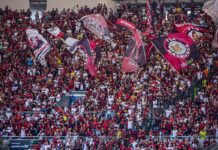 Brasileirão é o campeonato mais amado pelo torcedor