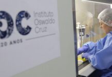 Novas linhagens da Ômicron avançam e favorecem reinfecções, diz Fiocruz