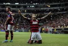 Na estreia de Vidal, Flamengo vira sobre Avaí com dois gols de Pedro