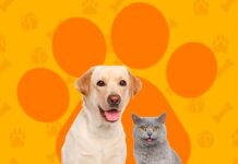 A CAMPANHA de Vacinação contra a Raiva já começou viu! Fique ligado!