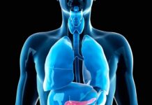 Confira os 10 sintomas que podem indicar que você está com câncer de pâncreas.