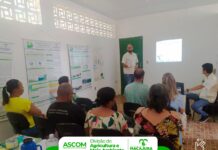 Conselho Municipal do Meio Ambiente se reuniu nesta quarta-feira, 12/01