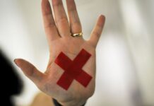 Lei Maria da Penha: condenados não poderão exercer cargo público em SP