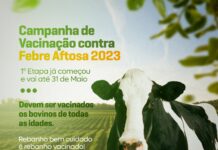 Até 31 de maio, acontece a 1ª Etapa de Vacinação contra a Febre Aftosa, vacine seu rebanho