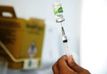 Primeira vacina contra chikungunya é aprovada nos Estados Unidos