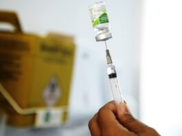 Primeira vacina contra chikungunya é aprovada nos Estados Unidos