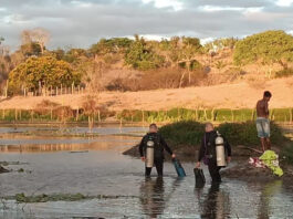Criança de 8 anos e adolescente de 12 morrem após se afogarem em lagoa no interior da BA
