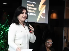 Tebet diz que veto a emendas parlamentares pode ser revisto em março