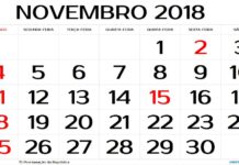 Novembro tem três feriados nacionais; confira as datas