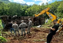 Ônibus com estudantes cai em ribanceira e deixa sete mortos no RS
