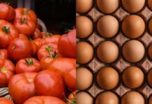 Por que o tomate e o ovo estão tão caros?