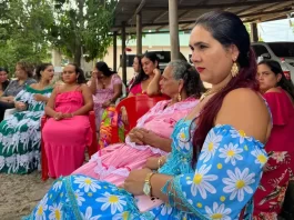 Ciganos cobram inclusão no Censo e mais acesso a políticas públicas