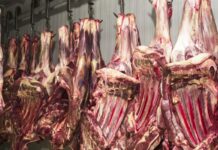 União Europeia anuncia proibição de importação de carne brasileira União Europeia anuncia proibição de importação de carne brasileira