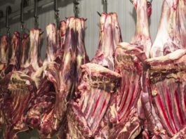 China suspende três frigoríficos brasileiros após irregularidades União Europeia anuncia proibição de importação de carne brasileira