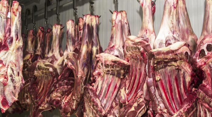 China suspende três frigoríficos brasileiros após irregularidades União Europeia anuncia proibição de importação de carne brasileira