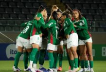 Palmeiras derrota Botafogo e se aproxima da liderança no BR Feminino Palmeiras derrota Botafogo e se aproxima da liderança no BR Feminino