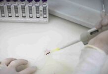 Exames descartam vírus ebola em pacientes com suspeita no Rio e em SP Exames descartam vírus ebola em pacientes com suspeita no Rio e em SP