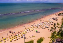 Jovem de 19 anos é atacada por tubarão na Praia de Boa Viagem Jovem de 19 anos é atacada por tubarão na Praia de Boa Viagem