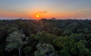 Viva Maria celebra o Dia Mundial do Meio Ambiente Viva Maria celebra o Dia Mundial do Meio Ambiente