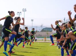 Seleções masculina e feminina entram em campo hoje de olho nas Copas Seleções masculina e feminina entram em campo hoje de olho nas Copas