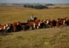 União Europeia restringe importação de carnes, peixe e mel do Brasil União Europeia restringe importação de carnes, peixe e mel do Brasil