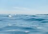 Dia Mundial dos Oceanos reforça importância dos mares para o clima Dia Mundial dos Oceanos reforça importância dos mares para o clima