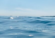 Dia Mundial dos Oceanos reforça importância dos mares para o clima Dia Mundial dos Oceanos reforça importância dos mares para o clima