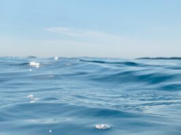 Dia Mundial dos Oceanos reforça importância dos mares para o clima Dia Mundial dos Oceanos reforça importância dos mares para o clima