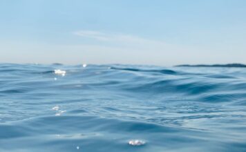 Dia Mundial dos Oceanos reforça importância dos mares para o clima Dia Mundial dos Oceanos reforça importância dos mares para o clima