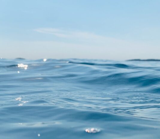 Dia Mundial dos Oceanos reforça importância dos mares para o clima Dia Mundial dos Oceanos reforça importância dos mares para o clima