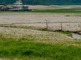 Super El Niño pode causar chuvas no Sul e secas no Norte e Nordeste Super El Niño pode causar chuvas no Sul e secas no Norte e Nordeste