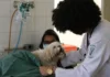 Exercício ilegal da medicina veterinária passa a ser crime Exercício ilegal da medicina veterinária passa a ser crime