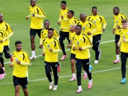 Semelhanças entre Brasil e África do Sul vão além do verde e amarelo Semelhanças entre Brasil e África do Sul vão além do verde e amarelo