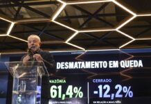 Desmatamento na Amazônia tem queda de 60% e Lula diz que EUA mentem Desmatamento na Amazônia tem queda de 60% e Lula diz que EUA mentem
