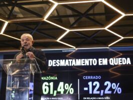 Desmatamento na Amazônia tem queda de 60% e Lula diz que EUA mentem Desmatamento na Amazônia tem queda de 60% e Lula diz que EUA mentem