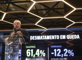Desmatamento na Amazônia tem queda de 60% e Lula diz que EUA mentem Desmatamento na Amazônia tem queda de 60% e Lula diz que EUA mentem