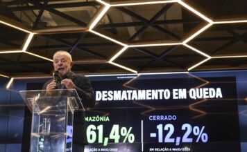 Desmatamento na Amazônia tem queda de 60% e Lula diz que EUA mentem Desmatamento na Amazônia tem queda de 60% e Lula diz que EUA mentem