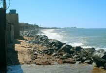 Saúde dos mares piora, desregula o clima e ameaça a costa brasileira Saúde dos mares piora, desregula o clima e ameaça a costa brasileira