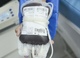 Junho Vermelho reforça a importância da doação de sangue Junho Vermelho reforça a importância da doação de sangue