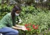 Viva Maria fala sobre plantas medicinais e autocuidado Viva Maria fala sobre plantas medicinais e autocuidado