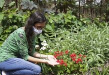 Viva Maria fala sobre plantas medicinais e autocuidado Viva Maria fala sobre plantas medicinais e autocuidado