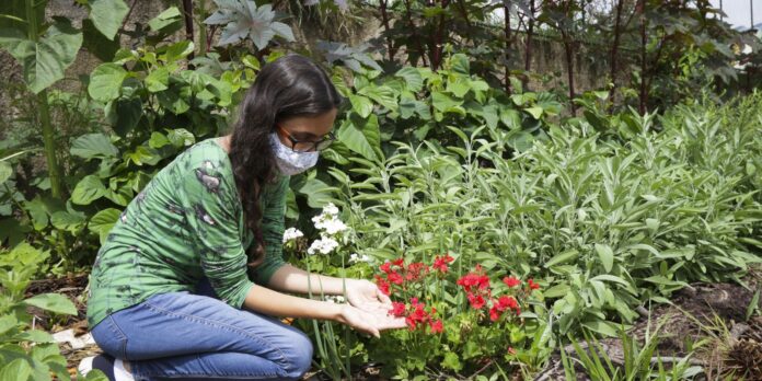 Viva Maria fala sobre plantas medicinais e autocuidado