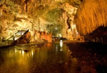 Estudo vai avaliar impacto do turismo na fauna de cavernas Estudo vai avaliar impacto do turismo na fauna de cavernas