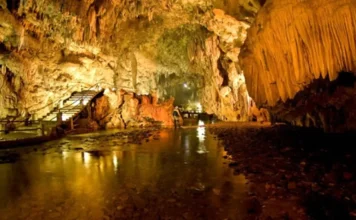 Estudo vai avaliar impacto do turismo na fauna de cavernas Estudo vai avaliar impacto do turismo na fauna de cavernas